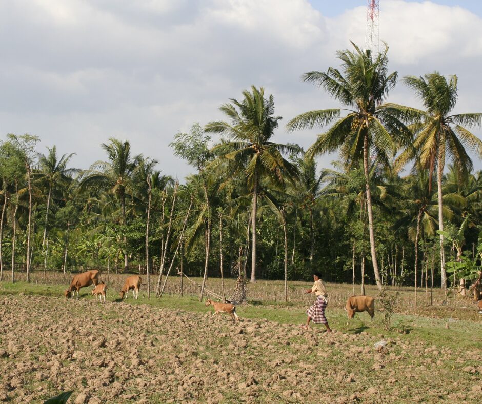 Sasak Lombok