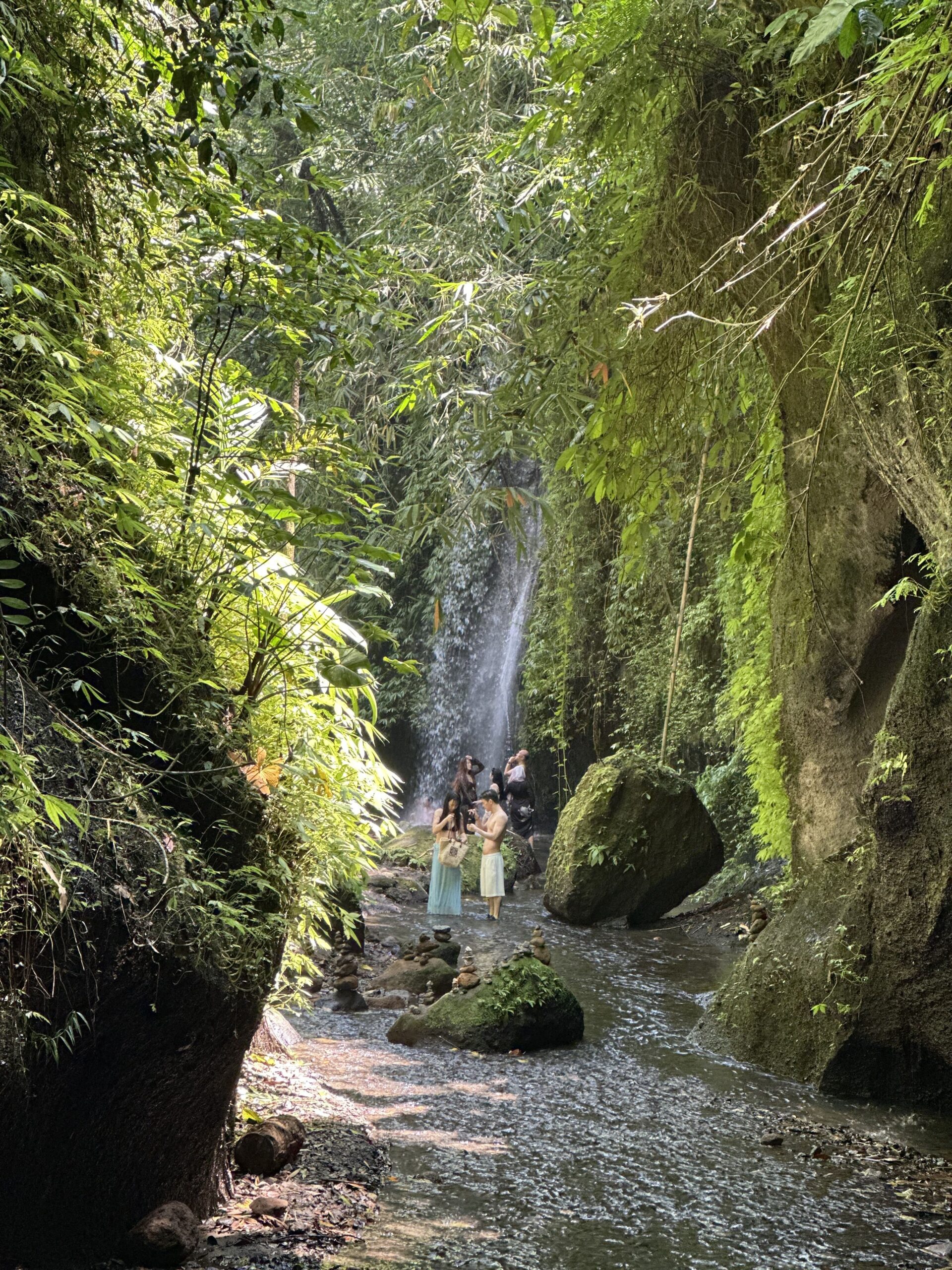 Bali cose da vedere