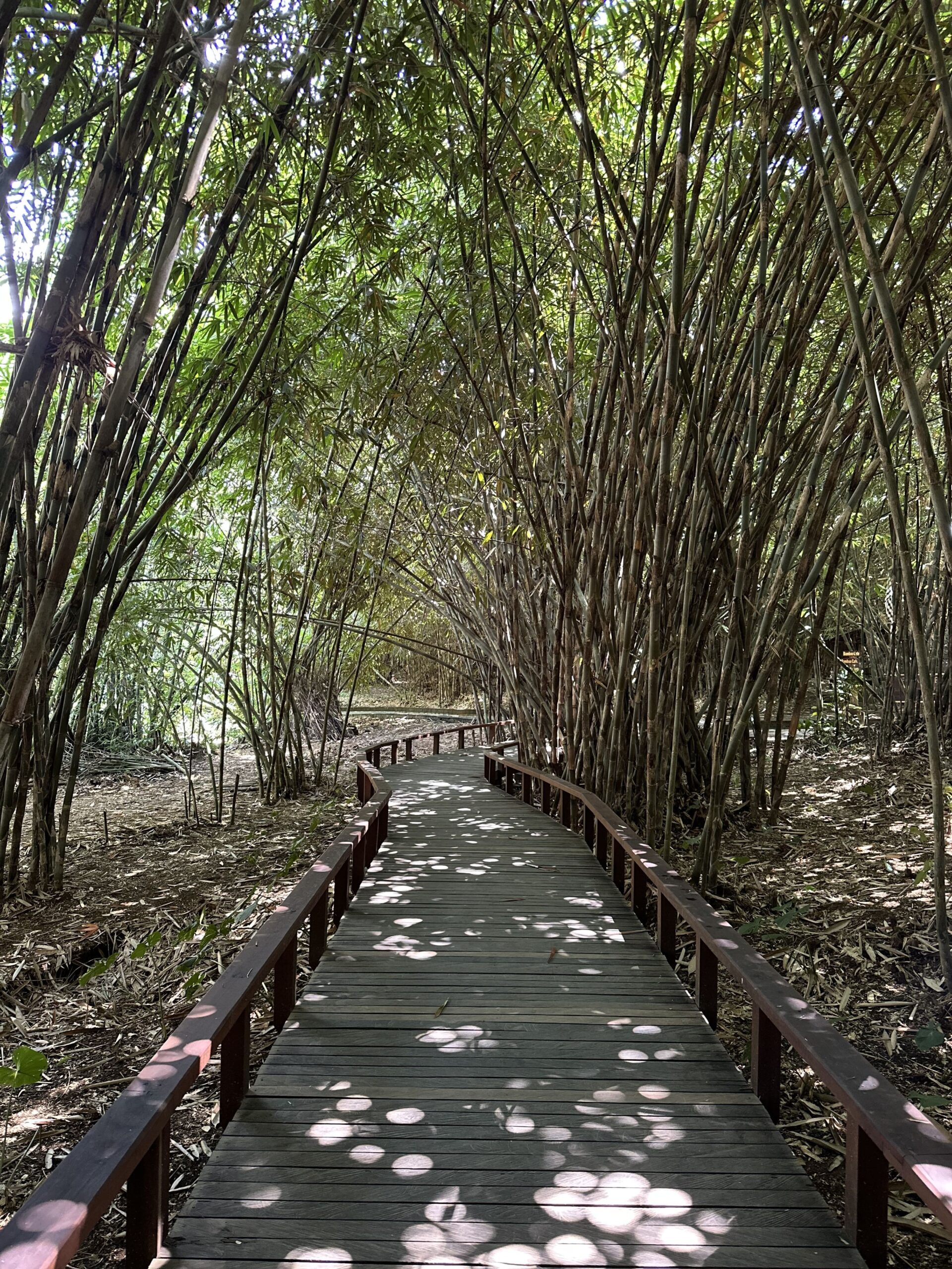 Cose da vedere a Bali