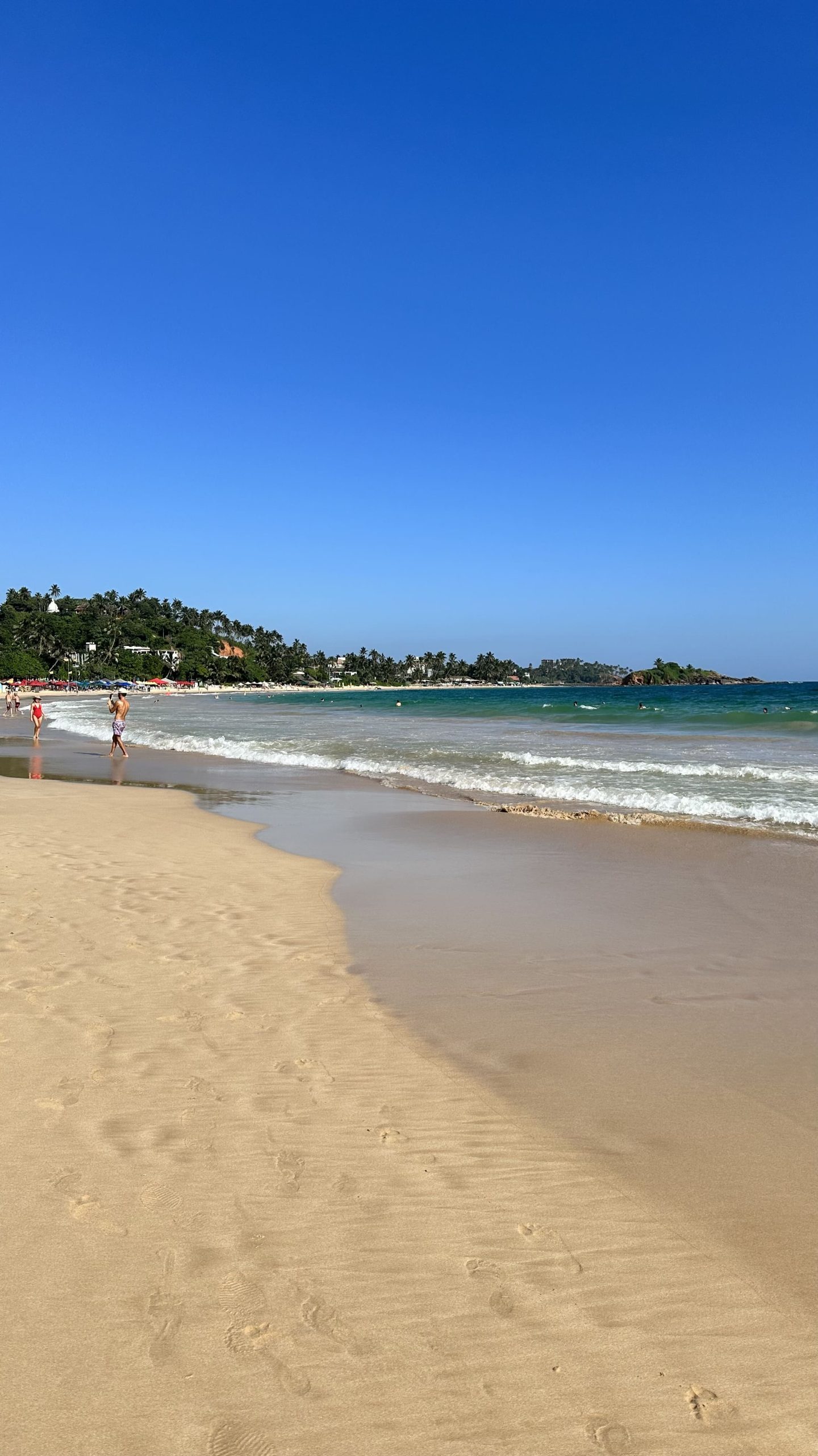 Mare in Sri Lanka