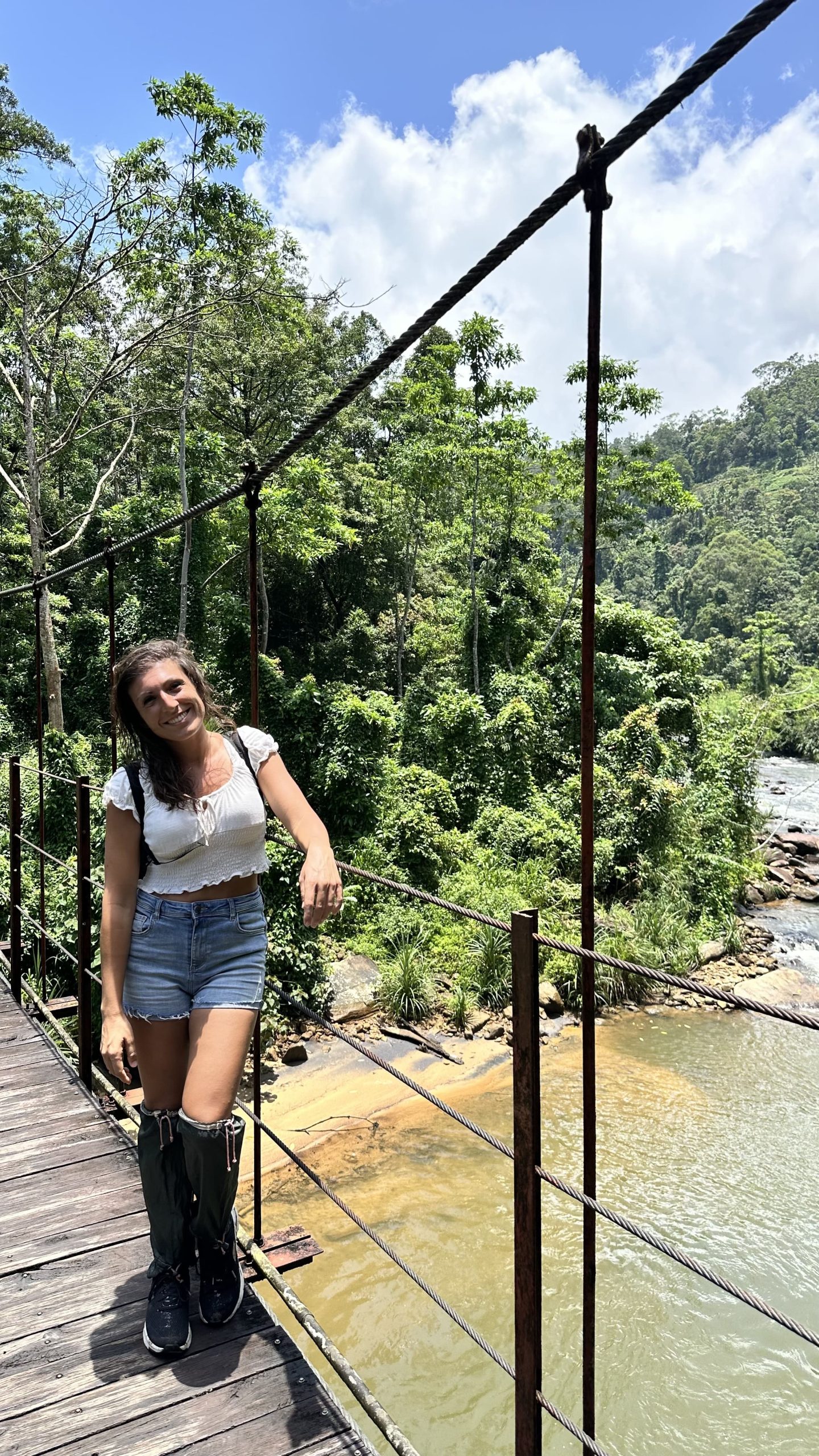 Sinharaja Rainforest Sri Lanka
