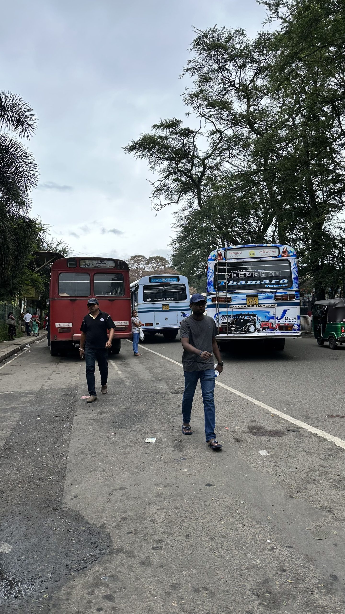 Viaggiare in Sri Lanka
