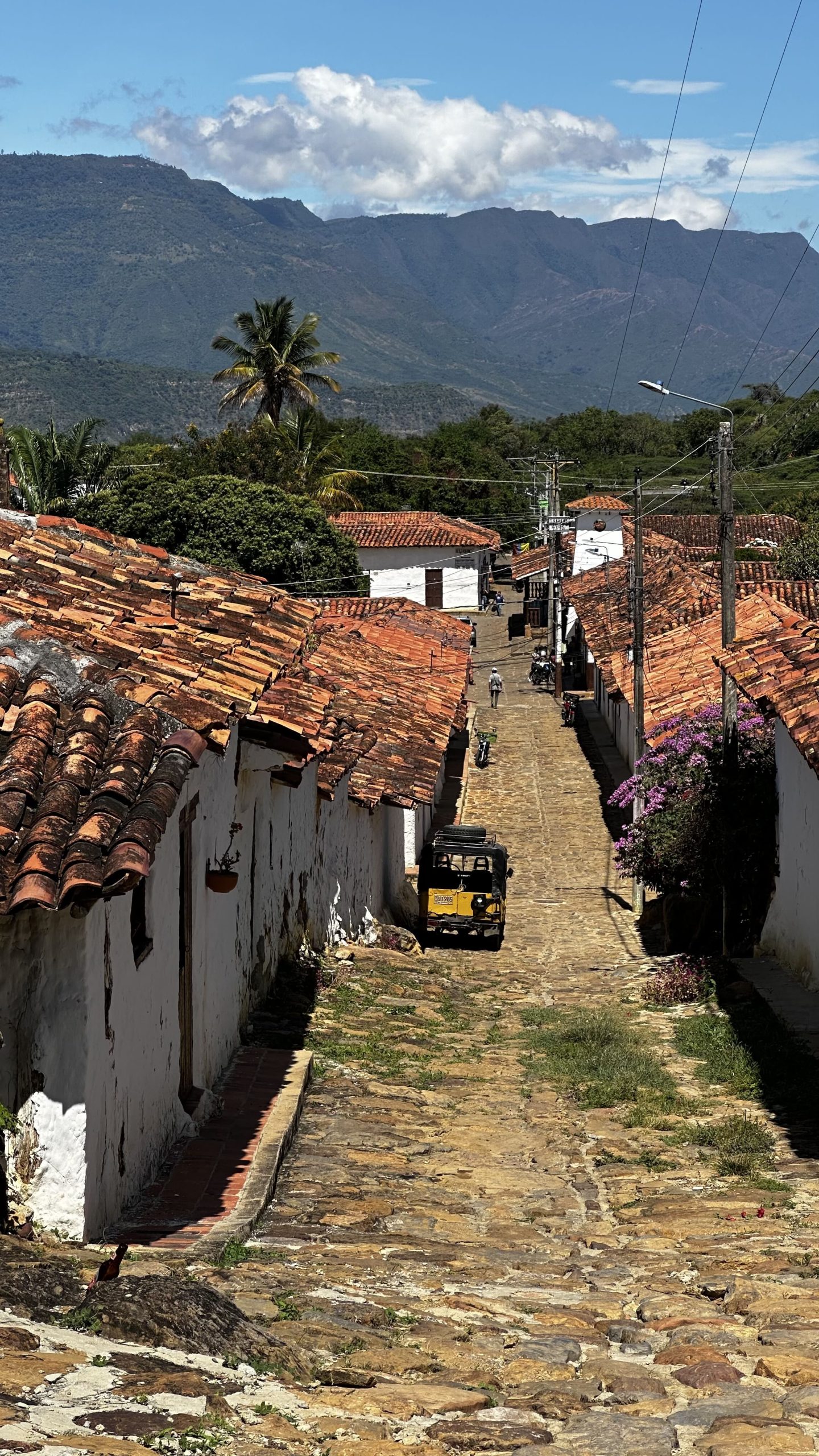 Guane Colombia